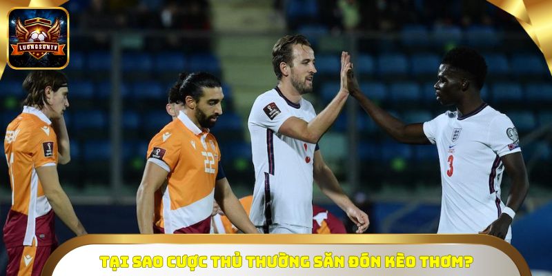 Tại sao cược thủ thường săn đón kèo thơm?