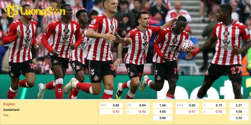 Chủ nhà sẽ kiếm nhiều góc hơn trong trận Brighton vs Sunderland