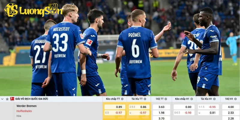 Chi tiết kèo Werder Bremen vs Hoffenheim