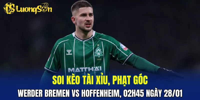Trận đấu Werder Bremen vs Hoffenheim hứa hẹn không ít bàn thắng